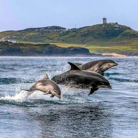 Scenic Oceanfront Retreat- Buliban Ferienhaus