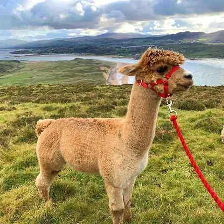 Scenic Oceanfront Retreat- Buliban Casa de Férias