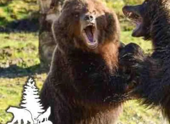 펜션 Scenic Oceanfront Retreat- Buliban Ballyhillin